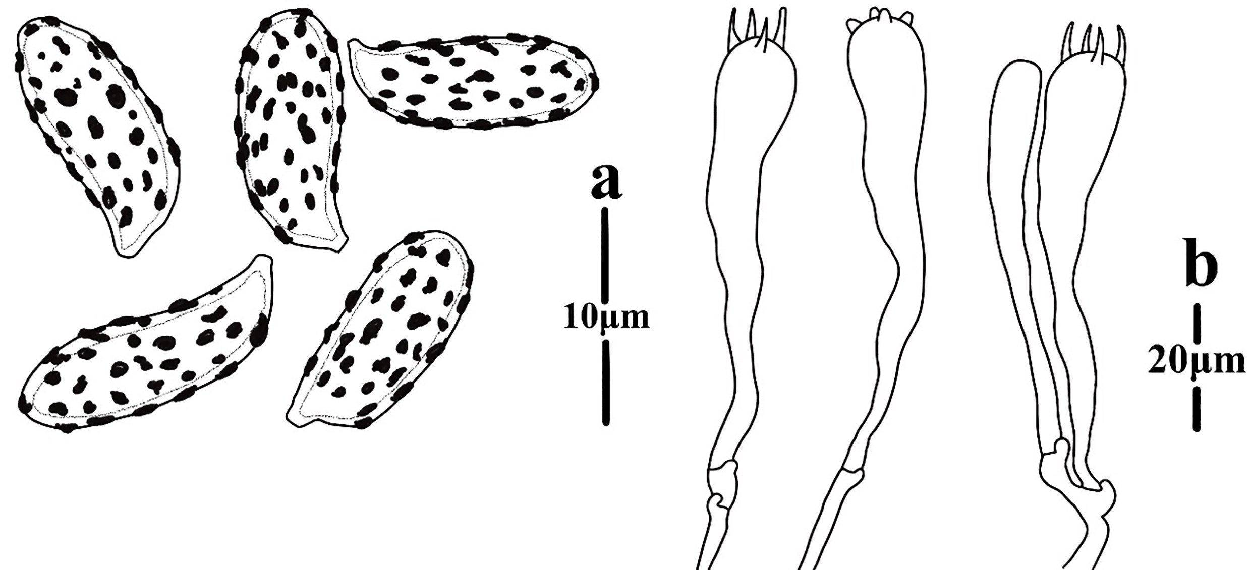 Figure 118